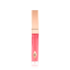HALL OF FAME LIP LUSTRE