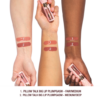 SET DE BUZE PILLOW TALK BIG LIP PLUMPGASM LIP KIT LIP KIT